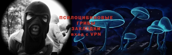 ГАЛЛЮЦИНОГЕННЫЕ ГРИБЫ Арсеньев