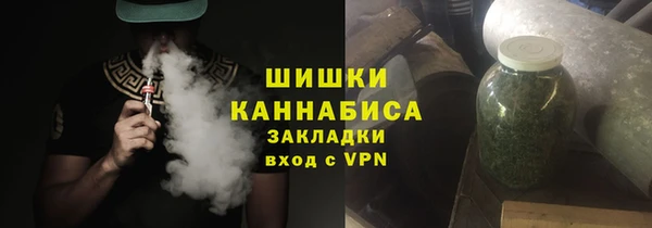 ГАЛЛЮЦИНОГЕННЫЕ ГРИБЫ Арсеньев