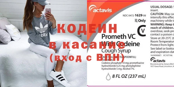 ГАЛЛЮЦИНОГЕННЫЕ ГРИБЫ Арсеньев
