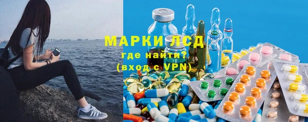 гидра Аркадак