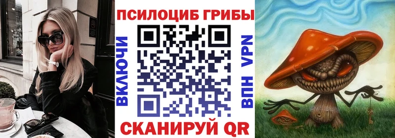 Купить  Сегежа  Галлюциногенные грибы прущие грибы 